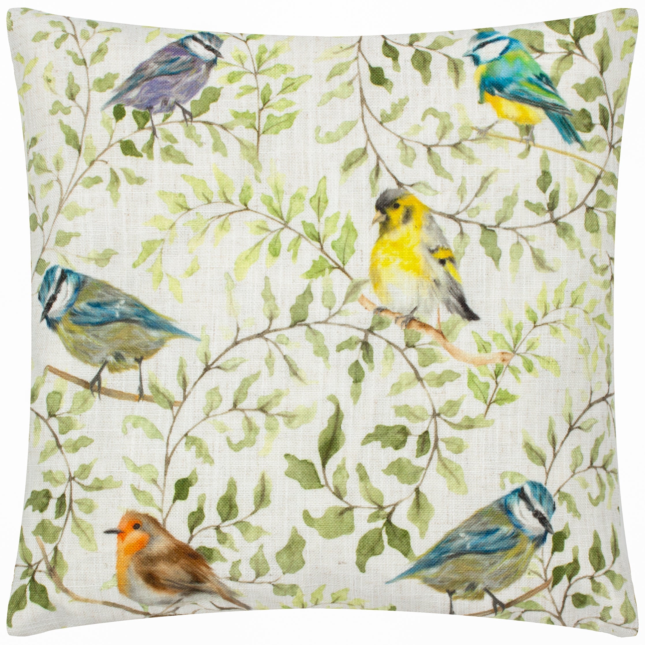 Shugborough Birds Traditional Cushion