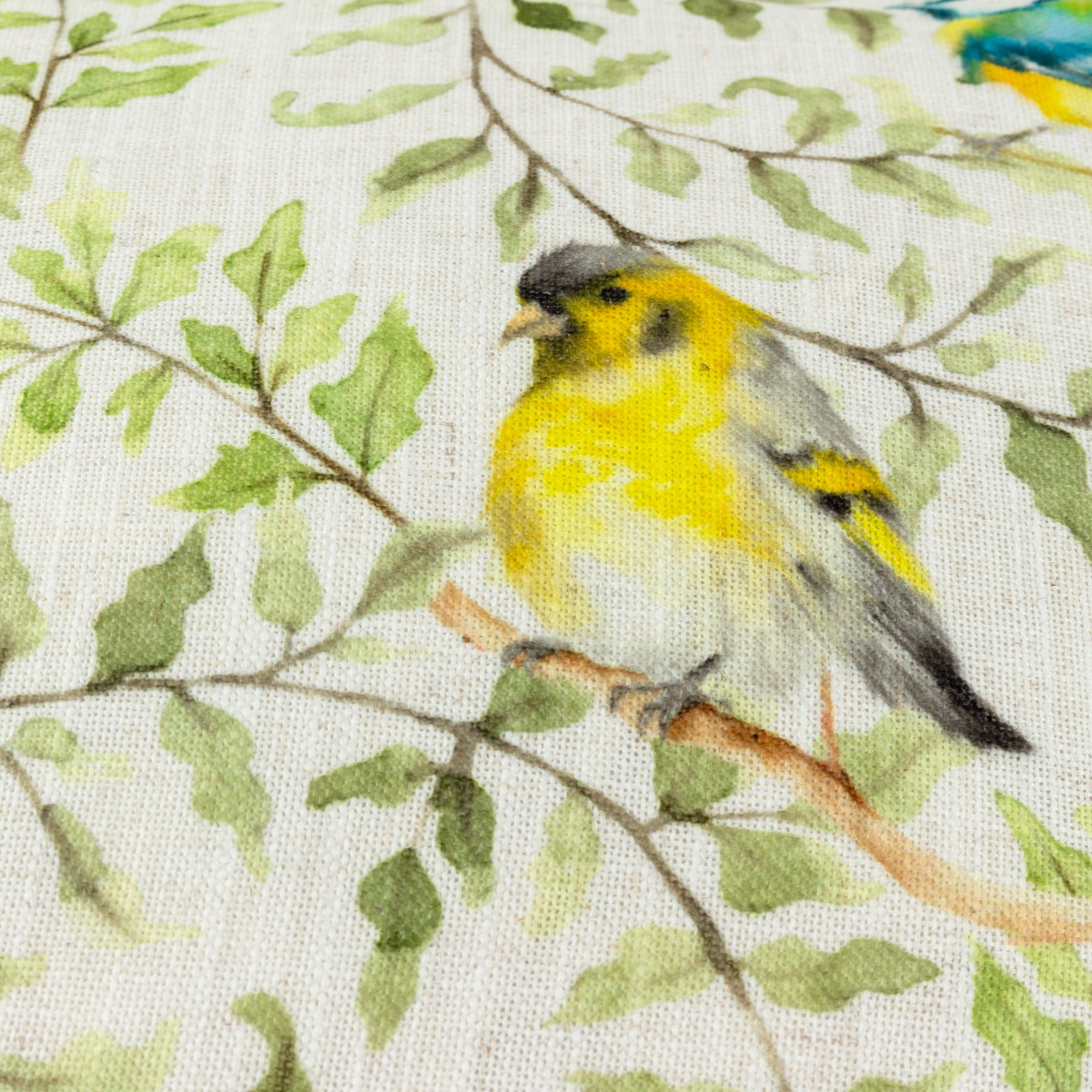 Shugborough Birds Traditional Cushion