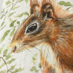 Shugborough Squirrel Traditional Cushion