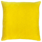 Tanda Velvet Cushion