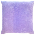 Tanda Velvet Cushion