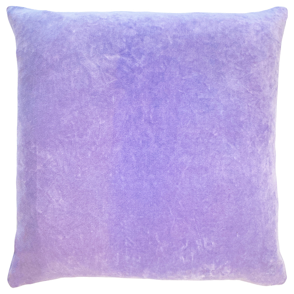 Tanda Velvet Cushion