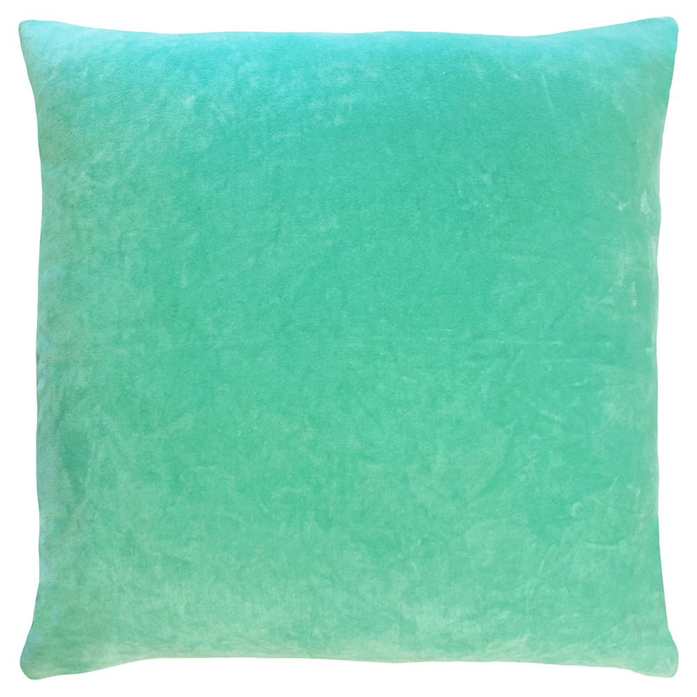 Tanda Velvet Cushion