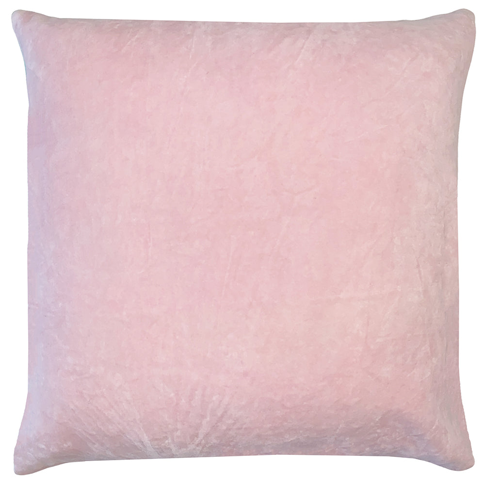 Tanda Velvet Cushion