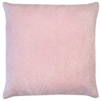 Tanda Velvet Cushion