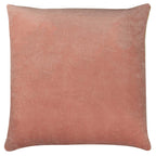 Tanda Velvet Cushion