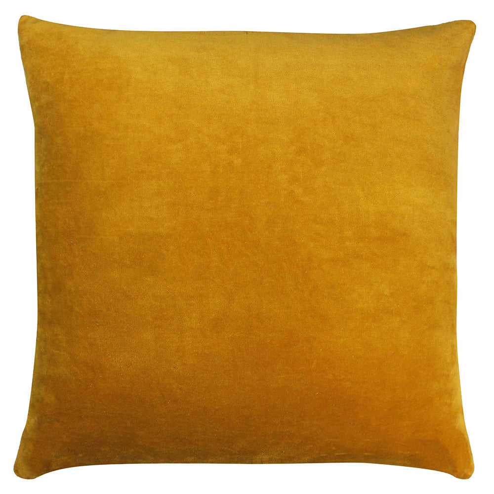 Tanda Velvet Cushion