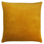 Tanda Velvet Cushion