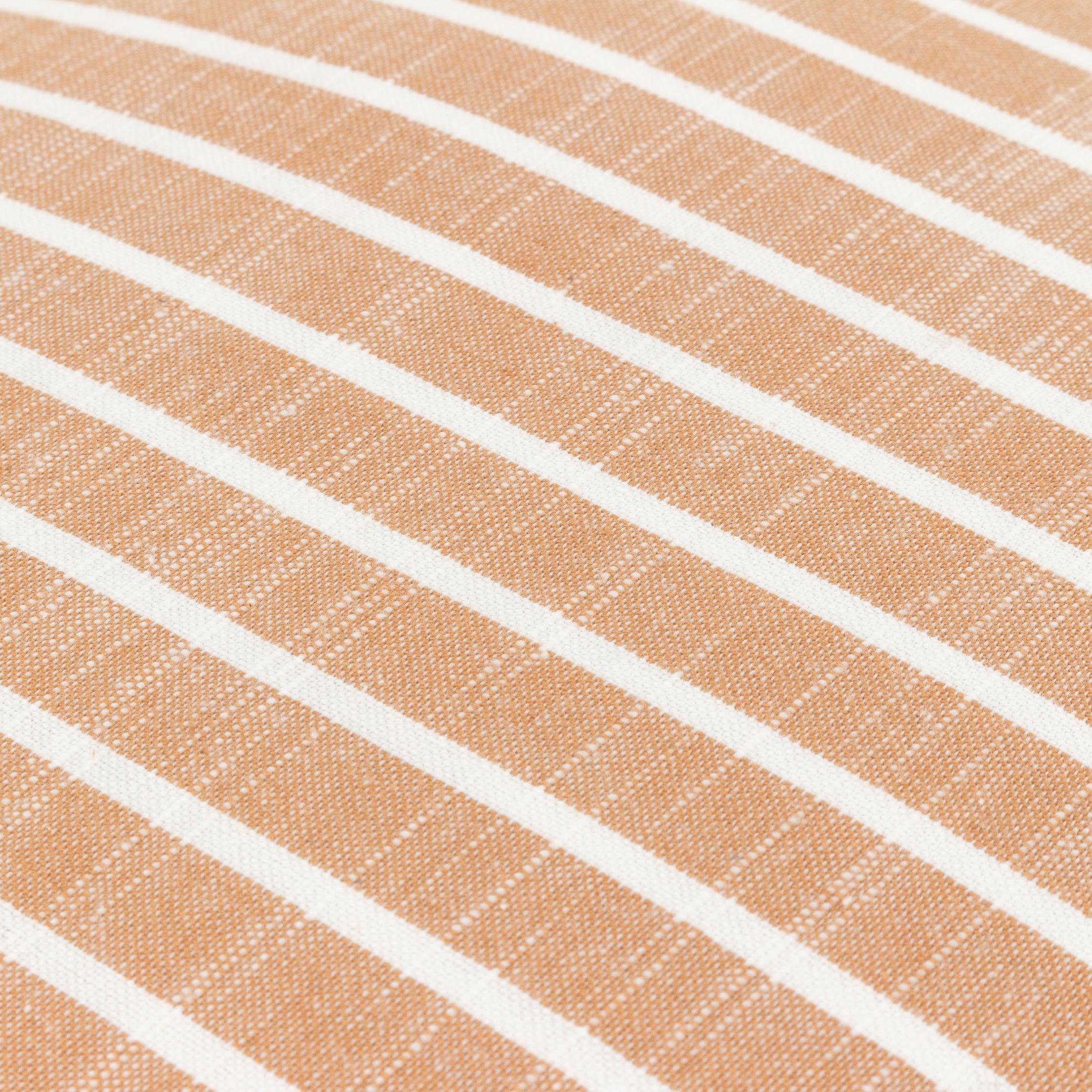 Tala Stripe Reversible Cushion