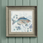 Vernazza Framed Print