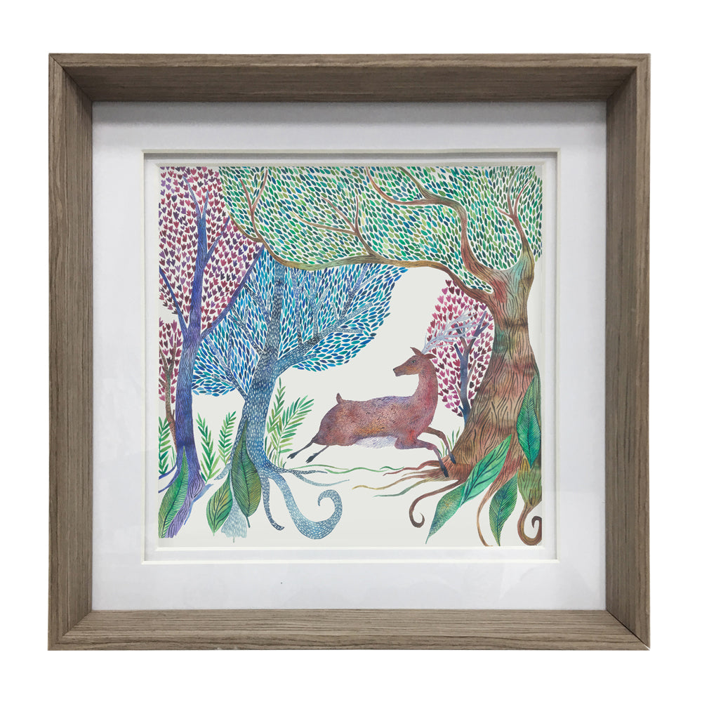 Willow Woods Framed Print