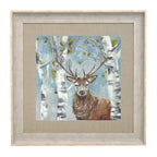 Woodland Stag Framed Print